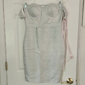 Emprada Elegant Silver Dress New